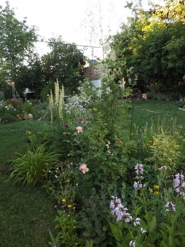 Bean Bed 7/2/13 photo 075_zps5be37039.jpg